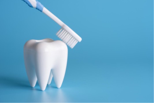 Tooth and Toothbrush